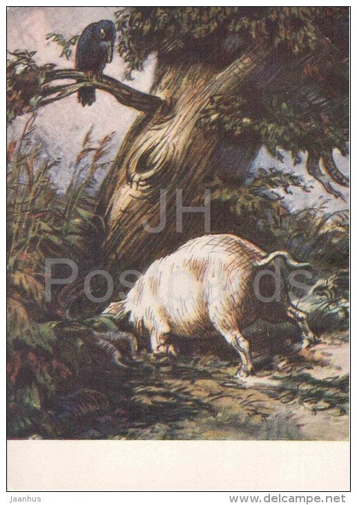 illustration by M. Taranov - Pig under the Oak tree - crow - Fable by Krylov - 1956 - Russia USSR - unused - JH Postcards