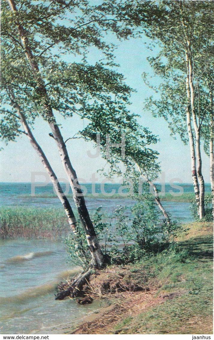 Razliv - Shore of the Lake - Lenin Memorial - 1970 - Russia USSR -  unused - JH Postcards