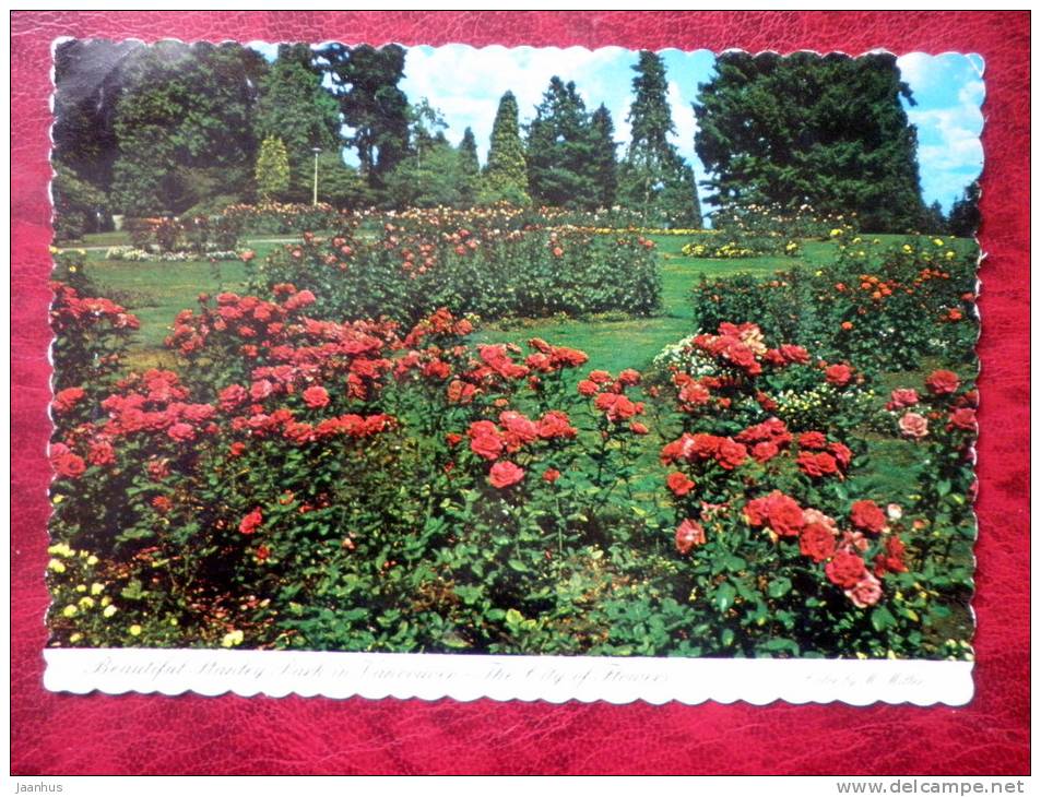 Stanley Park Rose Gardens - Vancouver - British Columbia - Canada - used - JH Postcards