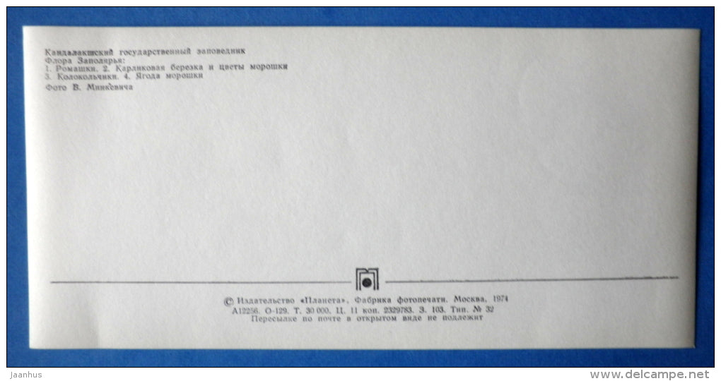 daisies , bell , cloudberry - plants - Kandalaksha Nature Reserve - 1974 - Russia USSR - unused - JH Postcards