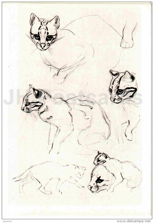 painting by Vasily Vatagin - Ocelot - Leopardus pardalis - Russian art - 1978 - Russia USSR - unused - JH Postcards