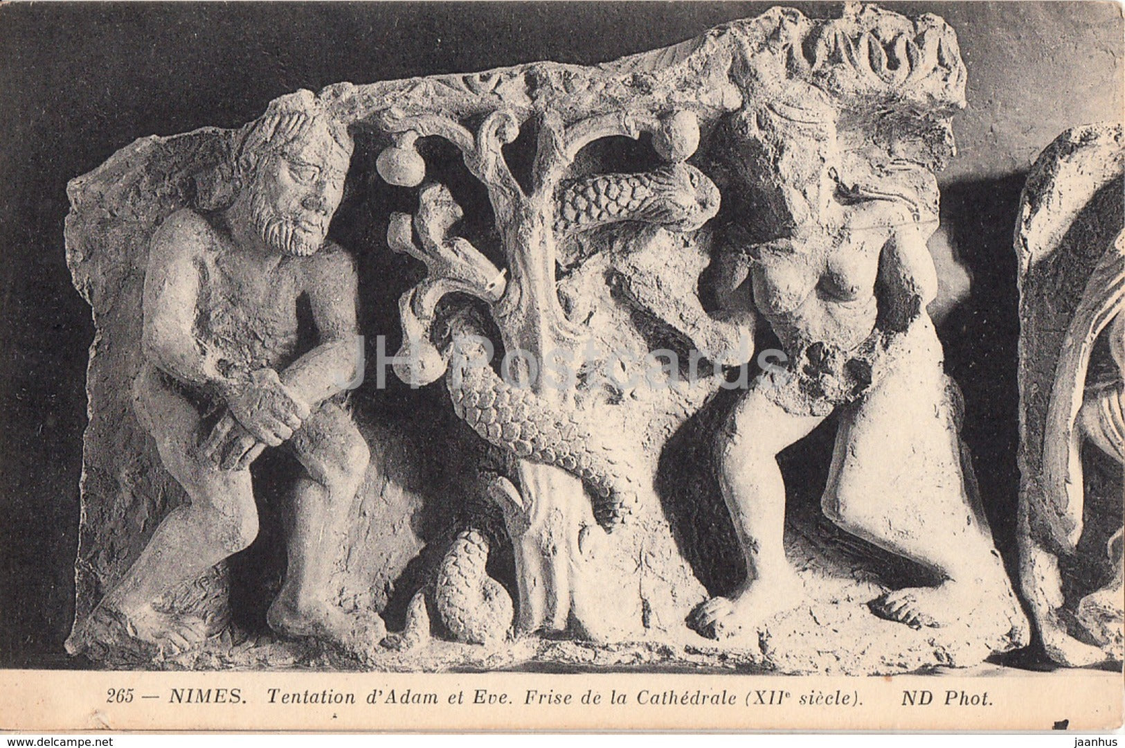 Nimes - Tentation d'Adam et Eve - Frise de la Cathedrale - 265 - cathedral - old postcard - France - unused