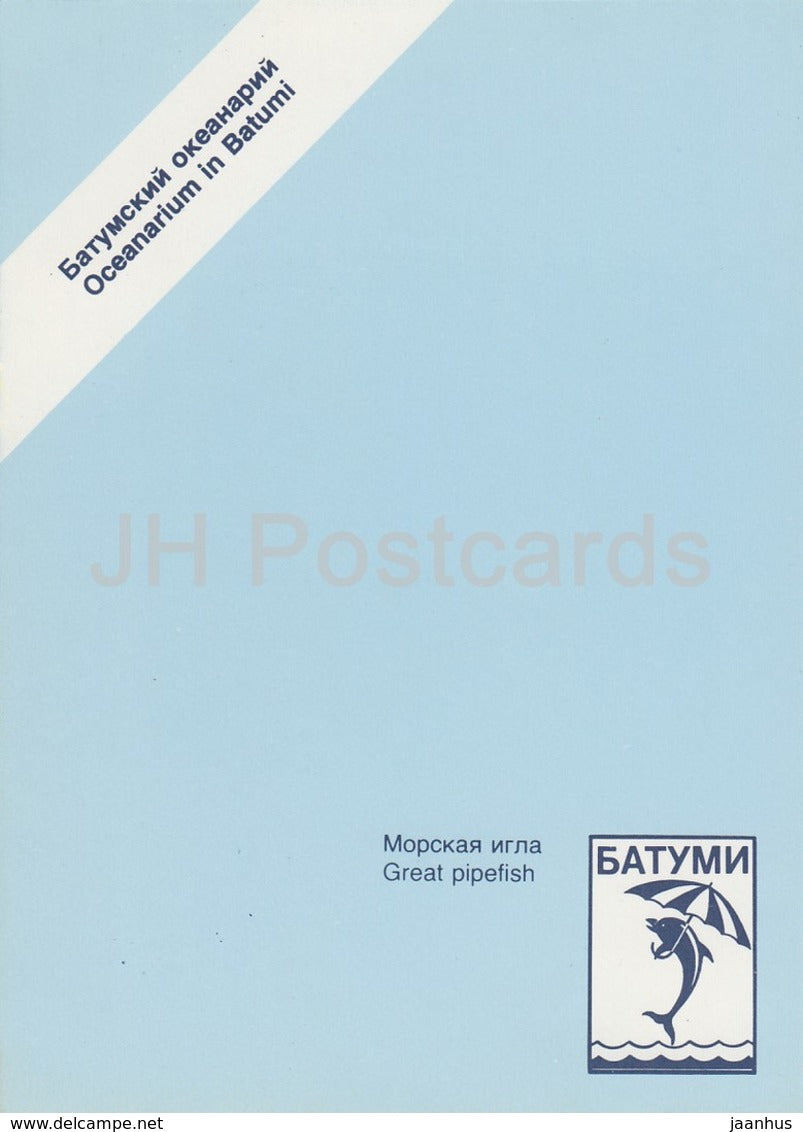 Pipefish - fish - Oceanarium in Batumi - 1989 - Georgia USSR - unused - JH Postcards