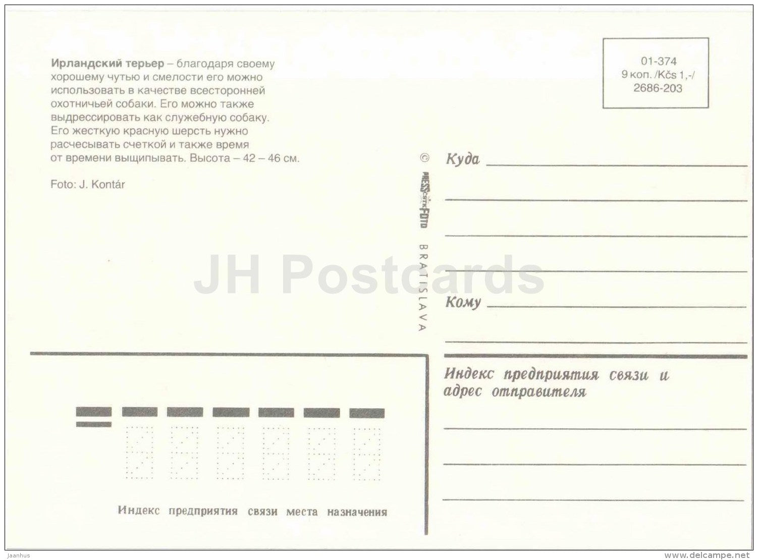 Irish terrier - dog - Russia USSR - unused - JH Postcards