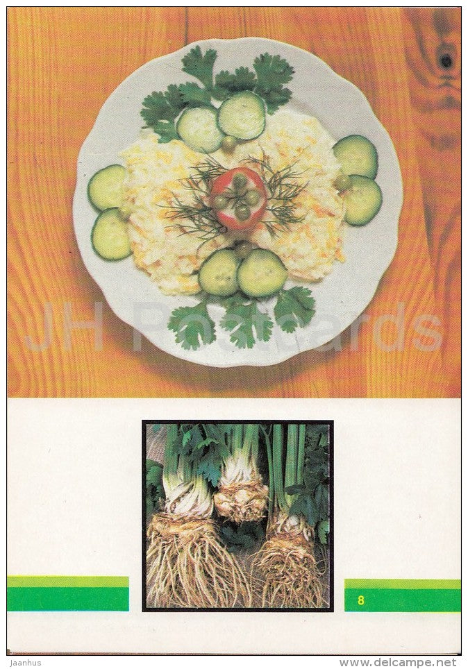 Celery Salad - Vegetable Dishes - recipes - 1990 - Russia USSR - unused - JH Postcards