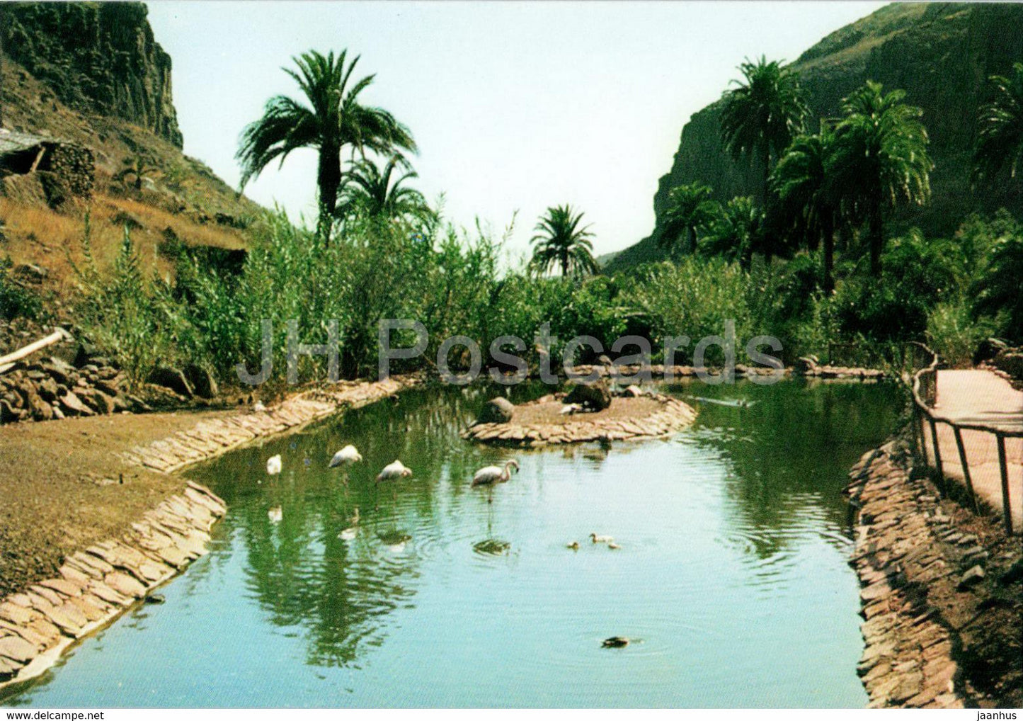 Maspalomas - Los Palmitos Park - birds - Gran Canaria - Spain - unused - JH Postcards