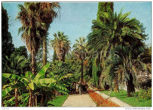 The Path of Palms - Arboretum - Dendrarium - Botanical Garden - Sochi - 1985 - Russia USSR - unused - JH Postcards