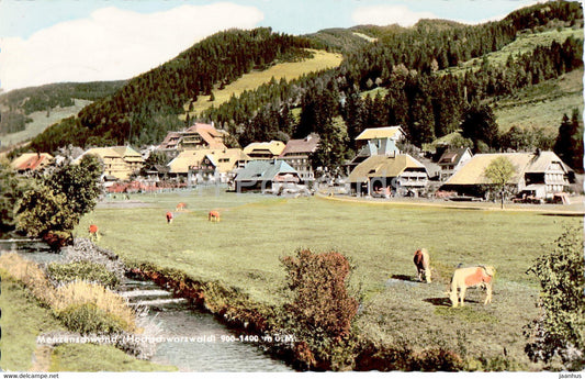 Menzenschwand - Hochschwarzwald - Heilklimatischer Jahreskurort - 1960 - Germany - used - JH Postcards