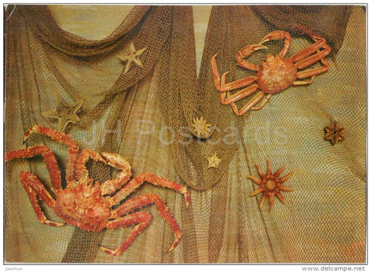 Bairdi Crab - Chionoecetes bairdi - carb - 1975 - Russia USSR - unused - JH Postcards