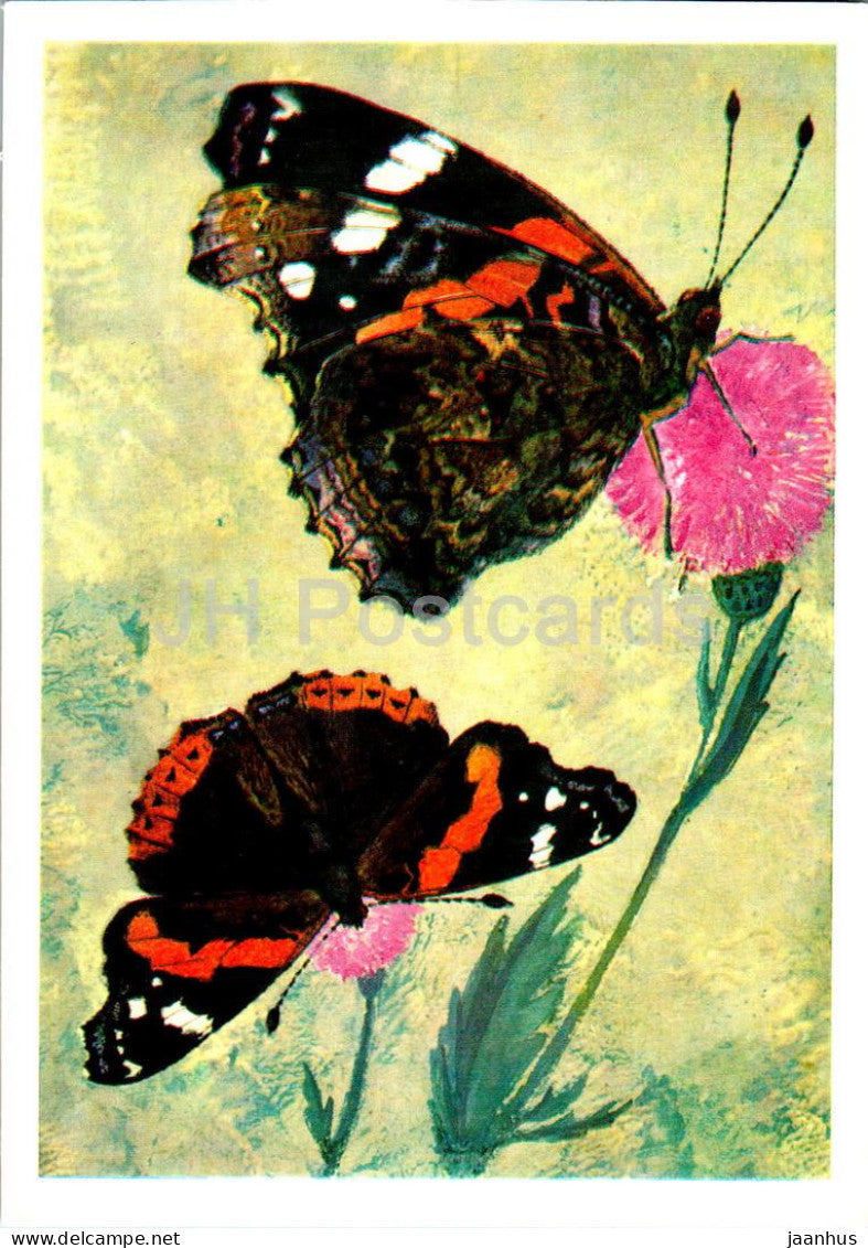 Red admiral - Vanessa atalanta - butterfly - butterflies - 1976 - Russia USSR - unused - JH Postcards