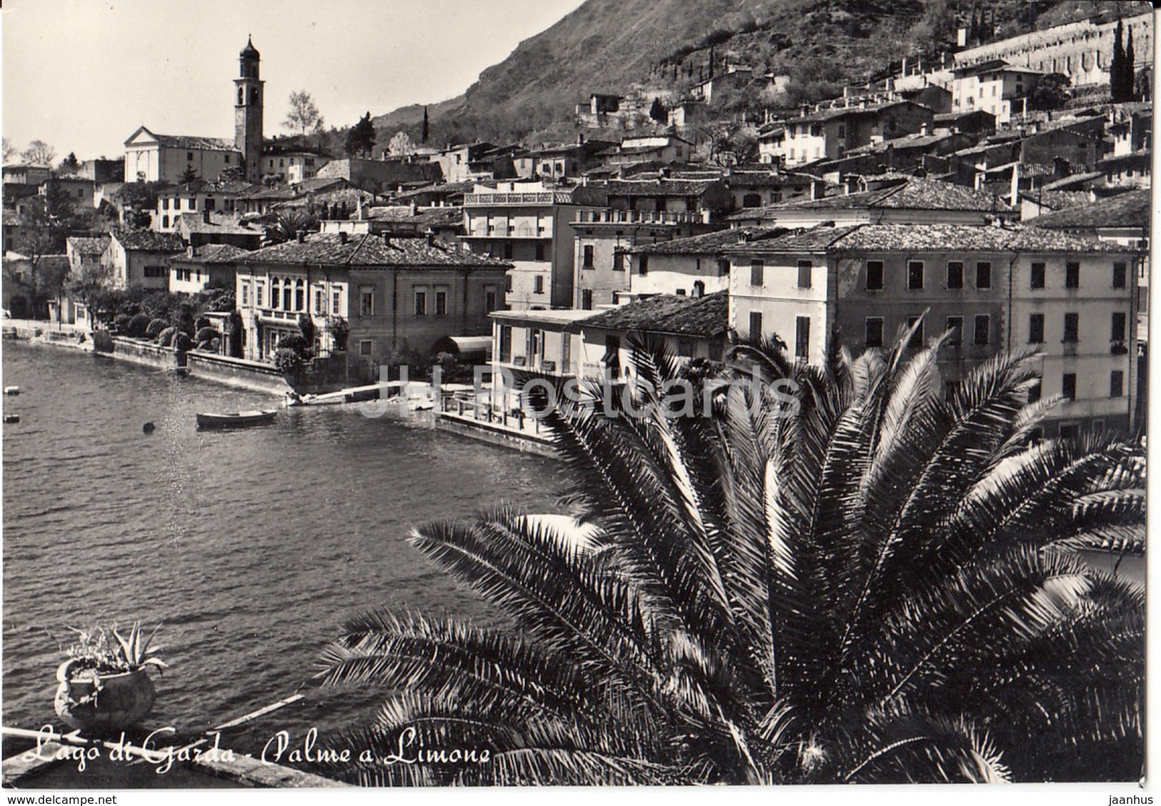 Lago di Garda - Palme a Limone - Italy - used - JH Postcards