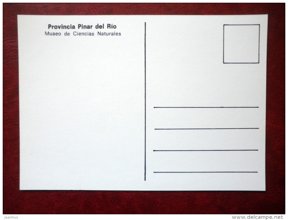 Museo de Ciencias Naturales - Museum of Natural Sciences - provincia Pinar del Rio - Cuba - unused - JH Postcards