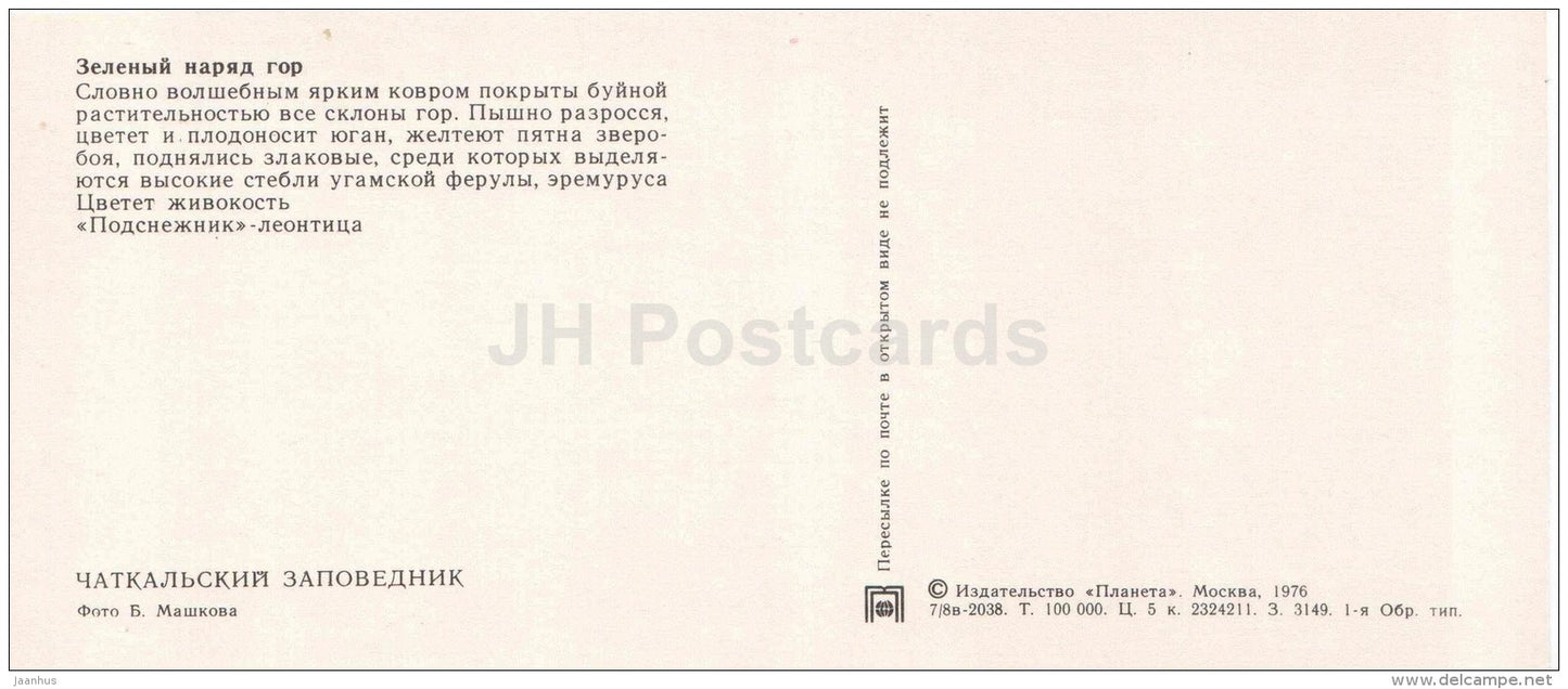 Tutsan - Hypericum - Chatkalsky National Park - 1976 - Uzbekistan USSR - unused - JH Postcards