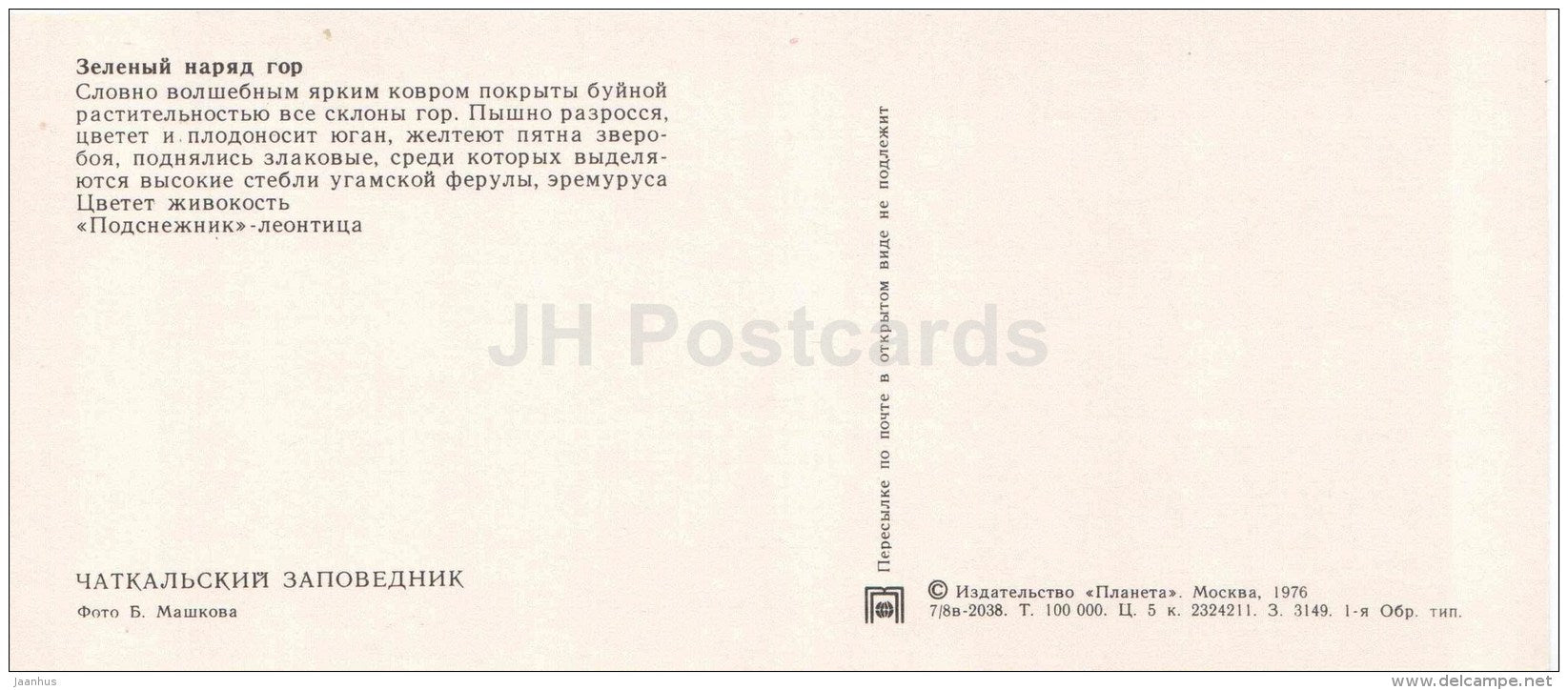 Tutsan - Hypericum - Chatkalsky National Park - 1976 - Uzbekistan USSR - unused - JH Postcards