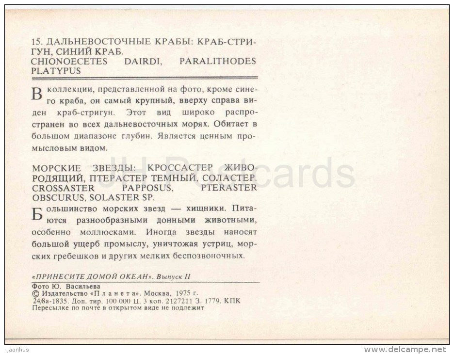 Bairdi Crab - Chionoecetes bairdi - carb - 1975 - Russia USSR - unused - JH Postcards