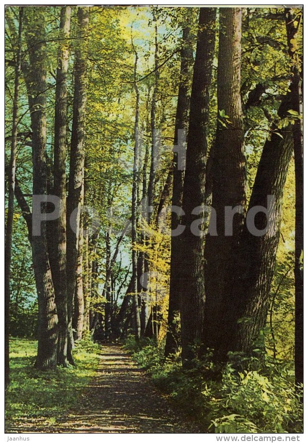 The upper Kliny park - Russian writer Leo Tolstoy Museum - Yasnaya Polyana - 1967 - Russia USSR - unused - JH Postcards