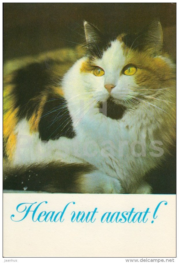 New Year Greeting card - cat - 1986 - Estonia USSR - used - JH Postcards