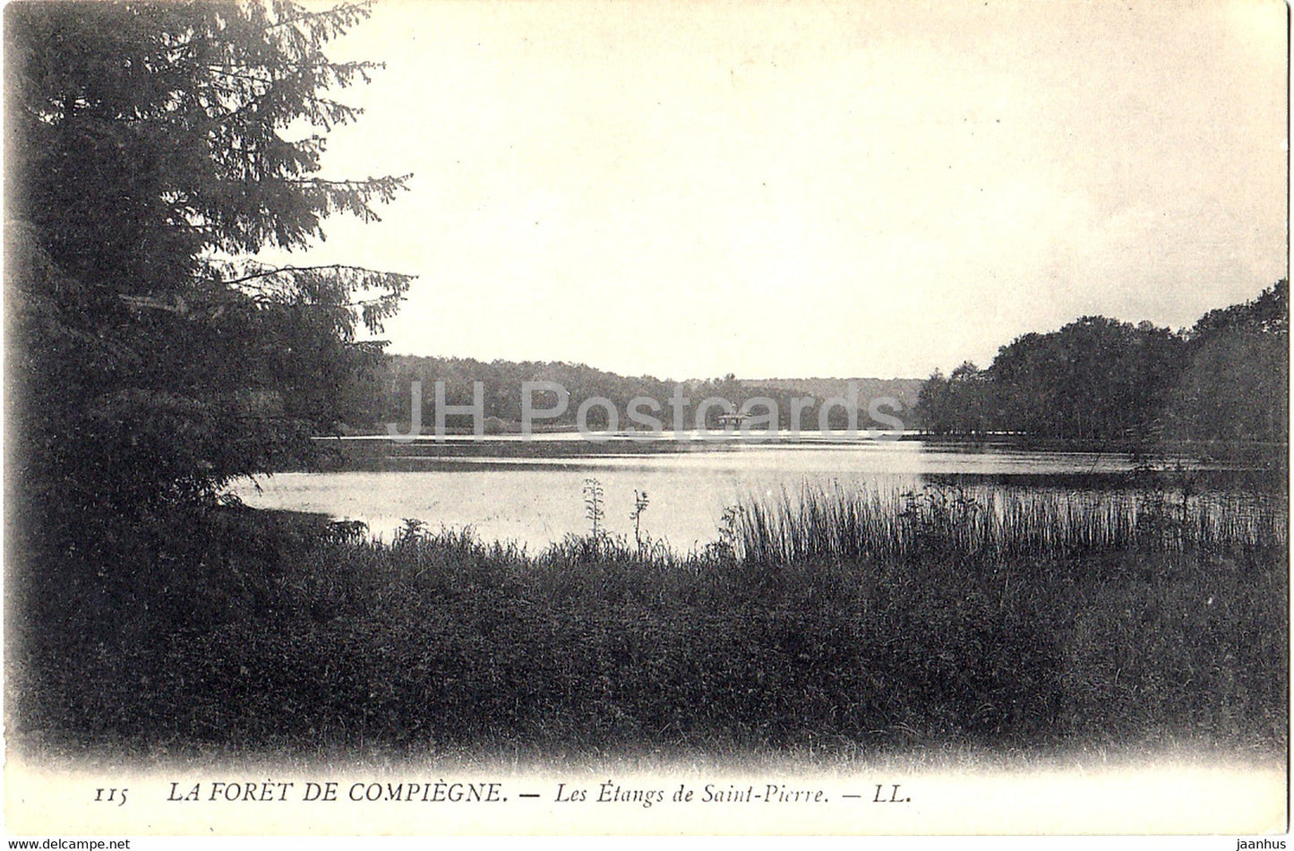 La Foret de Compiegne - Les Etangs de Saint Pierre - 115 - old postcard - France - unused - JH Postcards