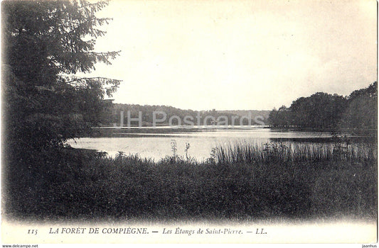 La Foret de Compiegne - Les Etangs de Saint Pierre - 115 - old postcard - France - unused - JH Postcards