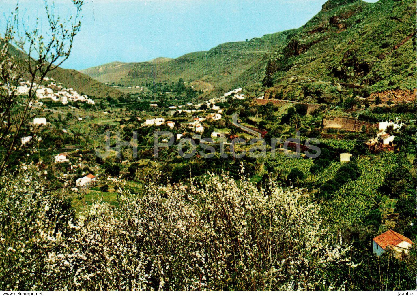 Las Palmas de Gran Canaria - Valle de Agaete - Spain - unused - JH Postcards