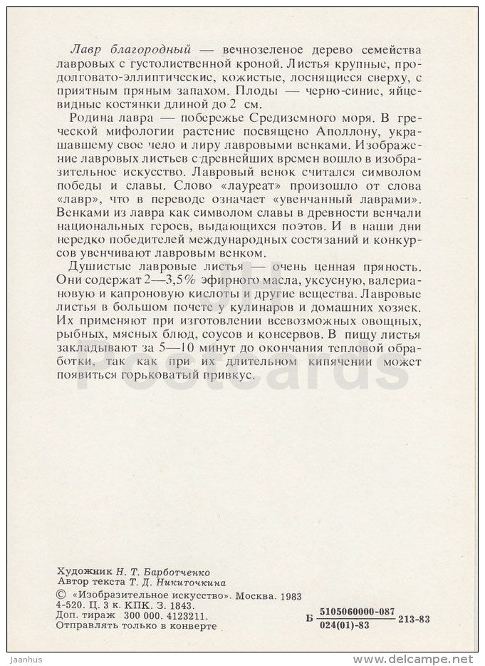 Laurel - Spice Plants - 1983 - Russia USSR - unused - JH Postcards