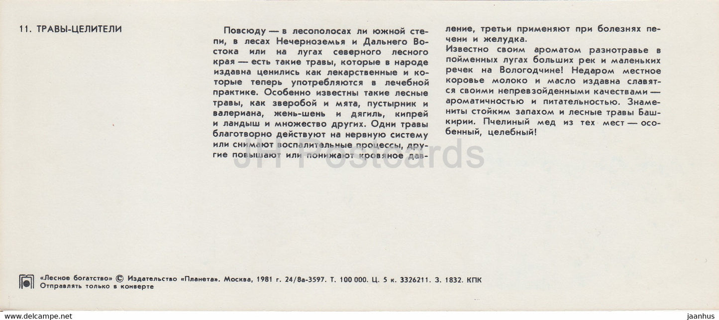Kräuterheiler – Waldreichtum – 1981 – Russland UdSSR – unbenutzt