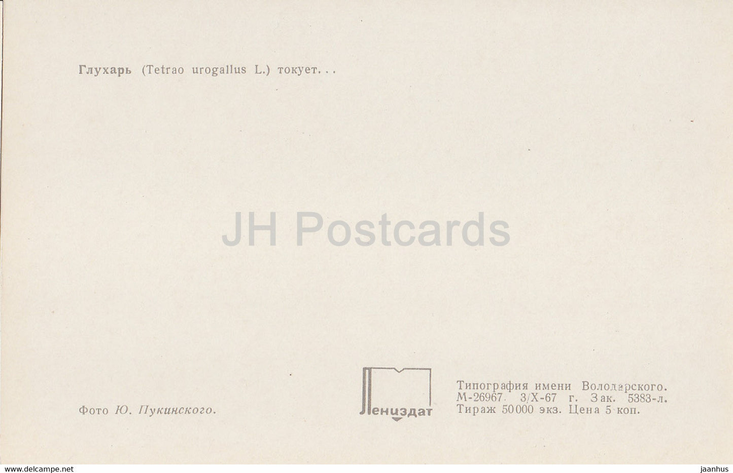 Westliches Auerhuhn - Tetrao urogallus - Vögel - 1968 - Russland UdSSR - unbenutzt