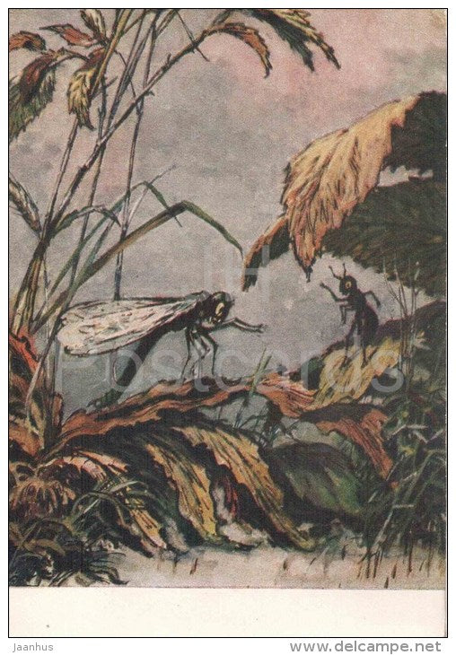 illustration by M. Taranov - Dragonfly and Ant - Fable by Krylov - 1956 - Russia USSR - unused - JH Postcards
