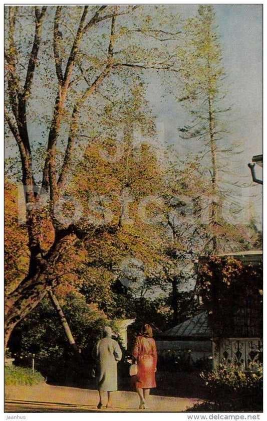 The Old Elm or the Tree of the Poor - Russian writer Leo Tolstoy Museum - Yasnaya Polyana - 1971 - Russia USSR - unused - JH Postcards