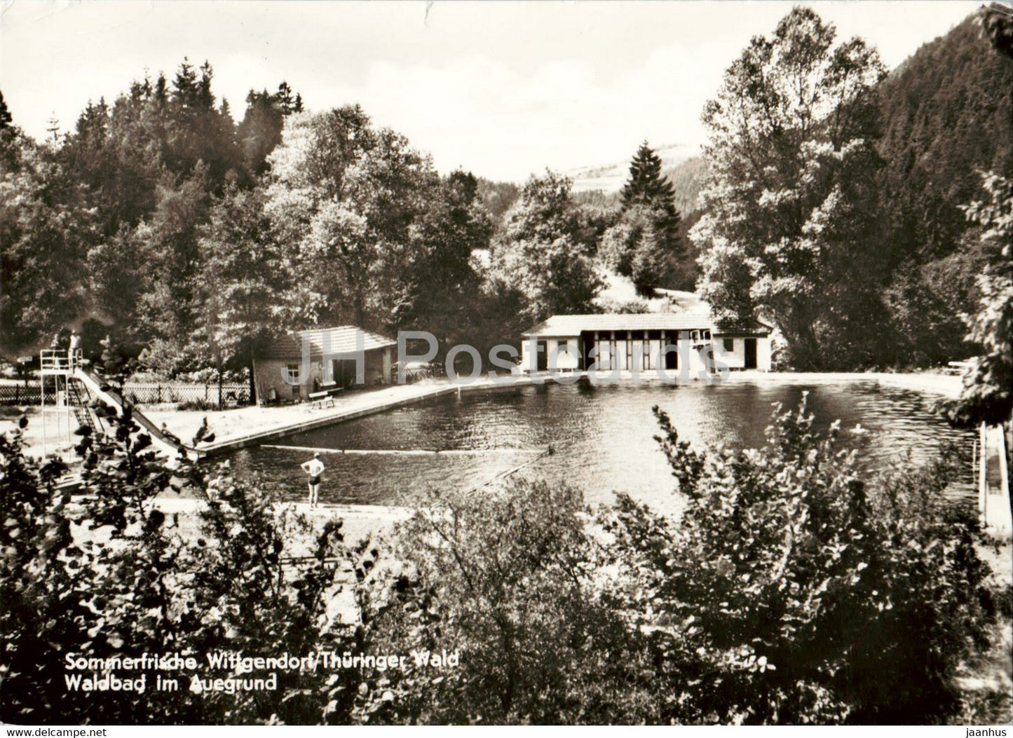 Sommerfrische Wittgendorf - Waldbad im Auegrund - pool - old postcard - 1977 - Germany DDR - used - JH Postcards