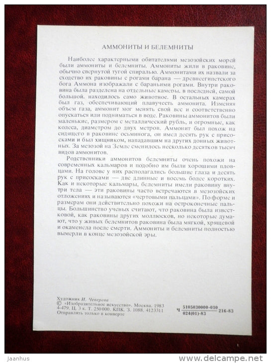 ammonites and belemnites  - Illustration by I. Chevereva - 1983 - Russia USSR - unused - JH Postcards