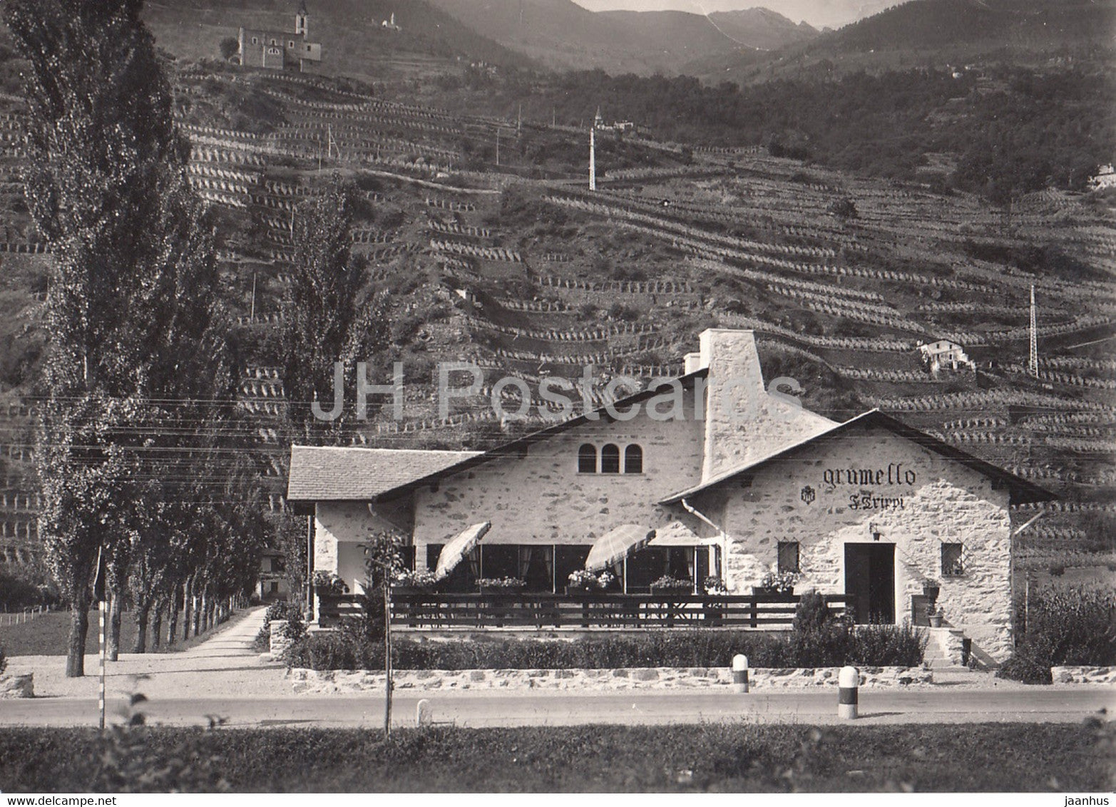 Ristorante Grumello - restaurant - Francesco Trippi - vineyard - old postcard - 1949 - Italy - used - JH Postcards