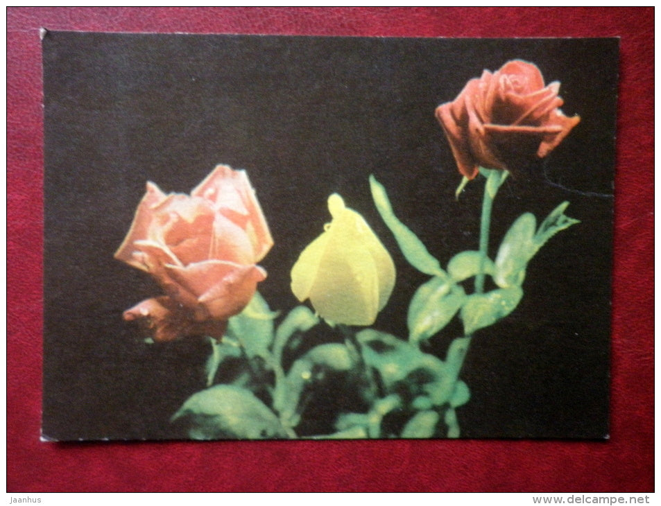 Greeting Card - roses - 1969 - Estonia USSR - used - JH Postcards