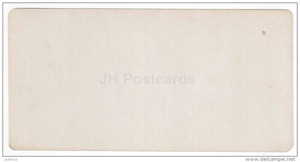 Novo-Sobanyevsk baths - street - Pyatigorsk - Caucasus - Russia - Russie - stereo photo - stereoscopique - old photo - JH Postcards