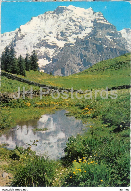 Jungfrau - Berner Oberland 4159 m - 8638 - Switzerland - 1963 - used - JH Postcards