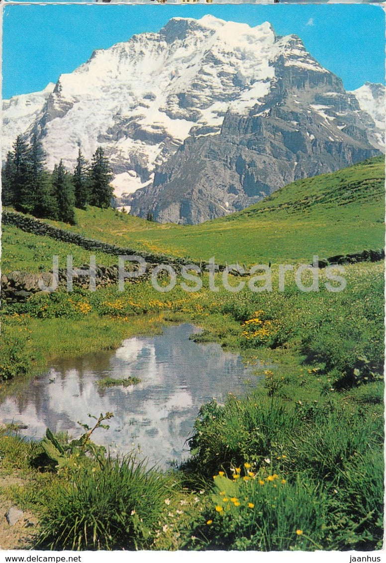 Jungfrau - Berner Oberland 4159 m - 8638 - Switzerland - 1963 - used - JH Postcards