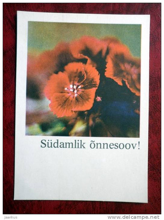 Greeting card - flowers - 1981 - Estonia - USSR - unused - JH Postcards
