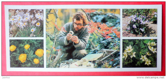 anemone - Trollius - violet - flowers - Pechora-Ilych Nature Reserve - Komi Republic - 1982 - Russia USSR - unused - JH Postcards
