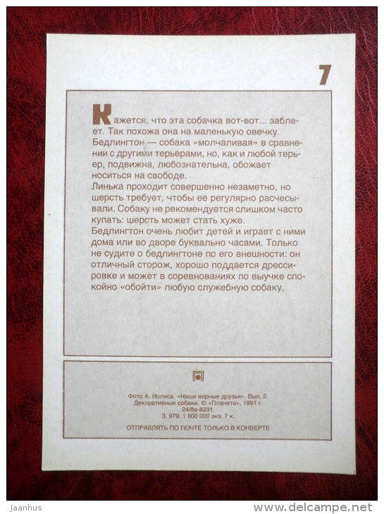 Bedlington Terrier - Sheltie - dogs - 1991 - Russia - USSR - unused - JH Postcards