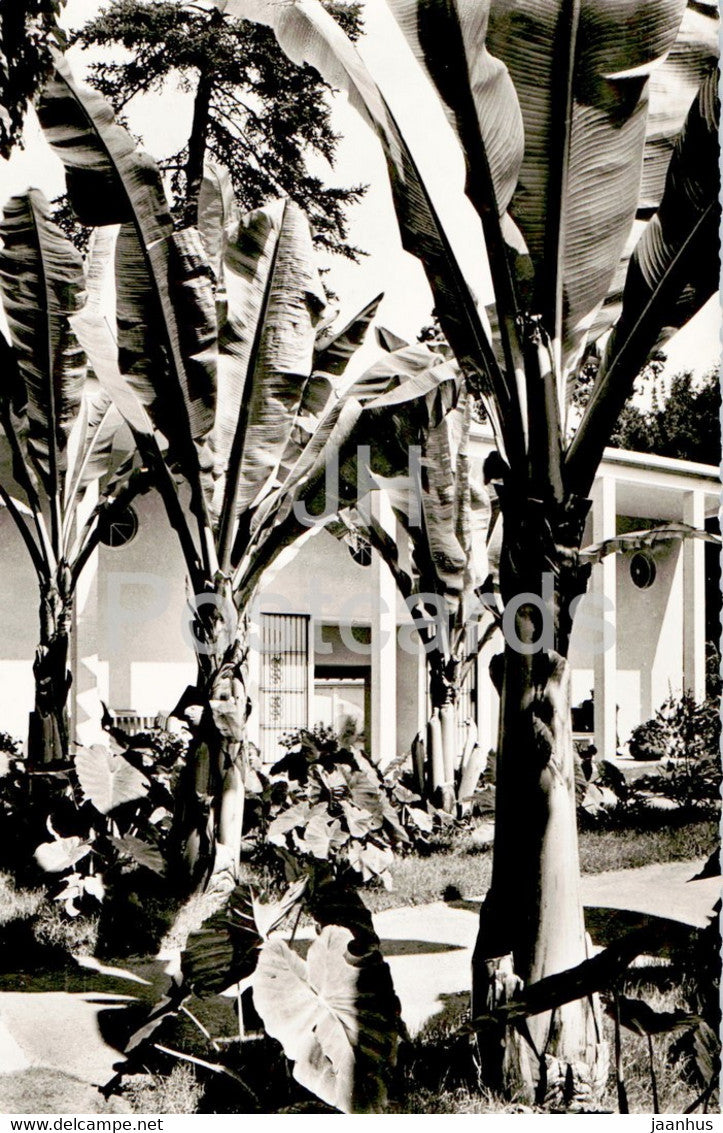 Badenweiler - Eingang zum Thermalschwimmbad - old postcard - Germany - unused - JH Postcards