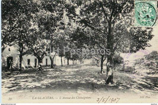 La Glaciere - L'Avenue des Chataigniers - 79 - old postcard - 1907 - Algeria - used - JH Postcards