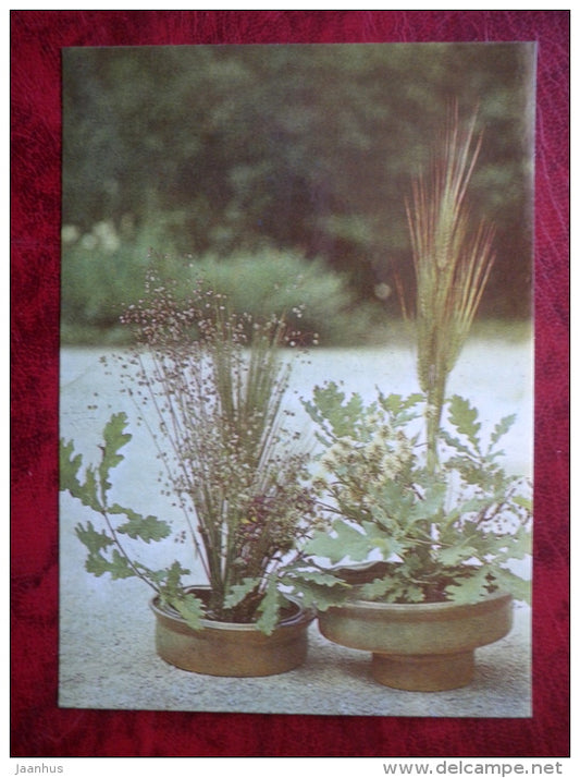 floral composition Cohabitation - barley - oak - magirius - flowers - plants - 1983 - Estonia - USSR - unused - JH Postcards