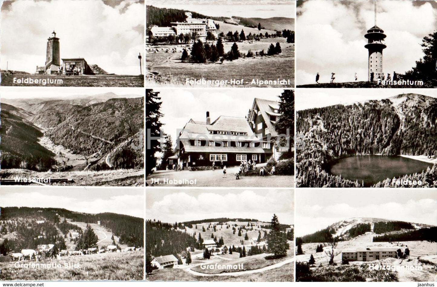 Feldberg - Schwarzwald 1495 m - 1963 - Germany - used - JH Postcards