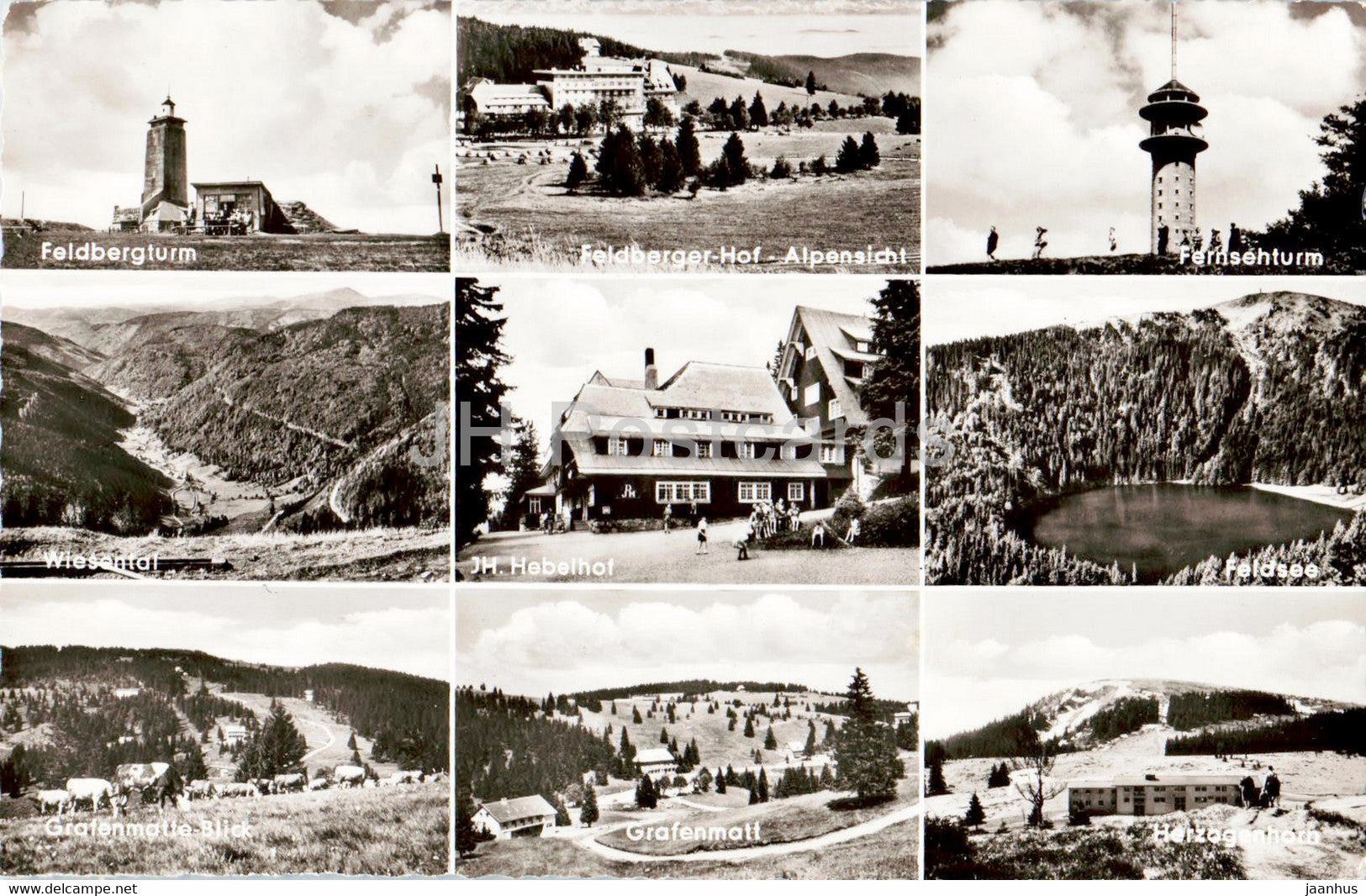 Feldberg - Schwarzwald 1495 m - 1963 - Germany - used - JH Postcards