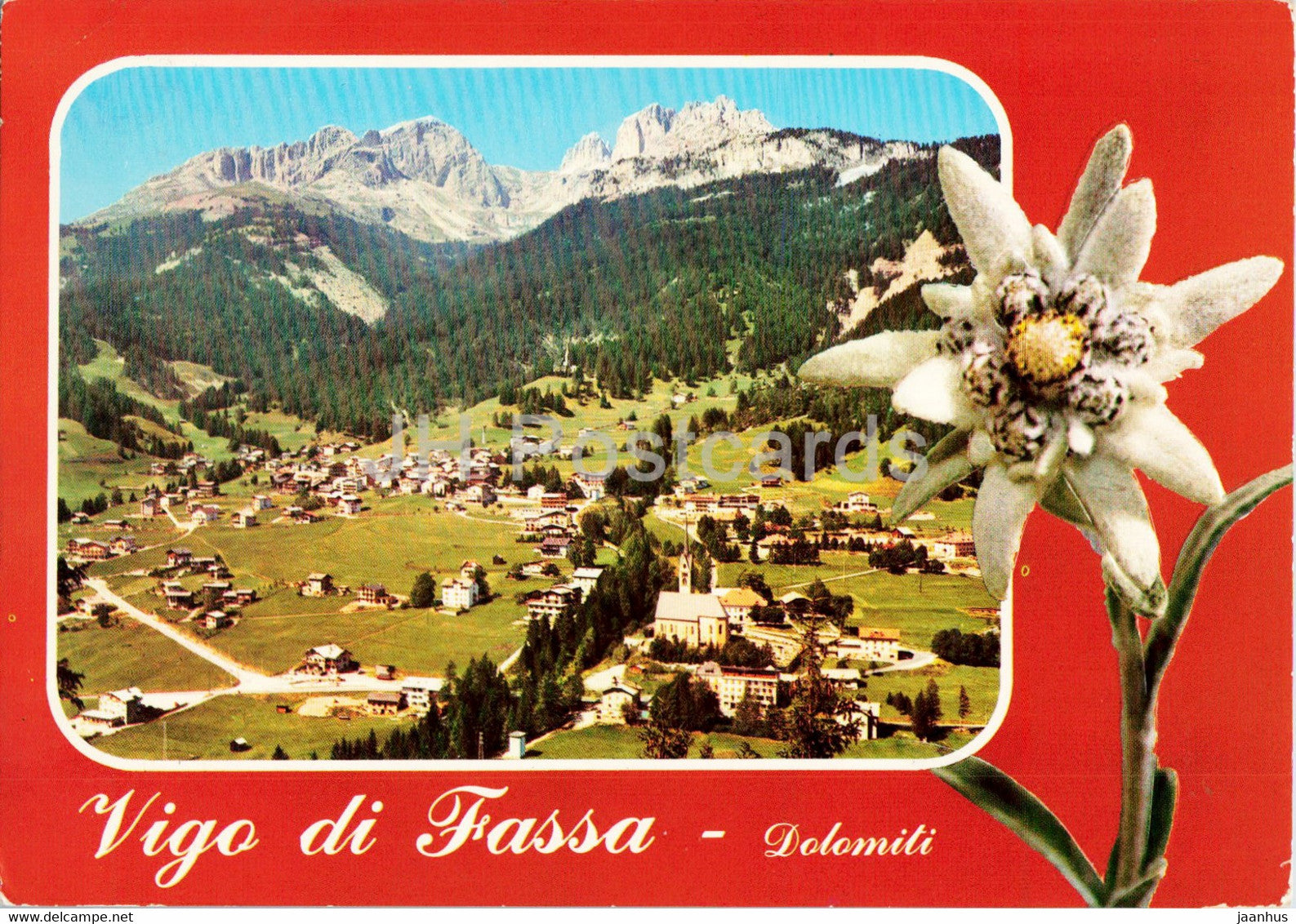 Vigo di Fassa - Dolomiti - flowers - Edelweiss - 1975 - Italy - used - JH Postcards