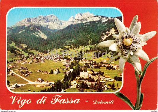 Vigo di Fassa - Dolomiti - flowers - Edelweiss - 1975 - Italy - used - JH Postcards