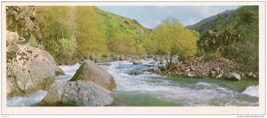 Tereksay river - Chatkalsky National Park - 1976 - Uzbekistan USSR - unused - JH Postcards
