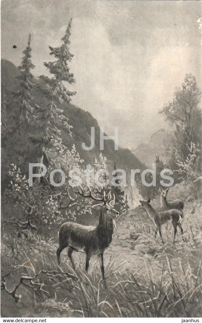 deer - animals - 1618 - LEP - illustration - old postcard - 1916 - Austria - used - JH Postcards