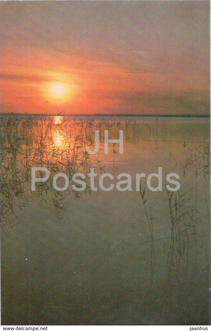 Razliv - The Lake - Lenin Memorial - 1970 - Russia USSR -  unused - JH Postcards