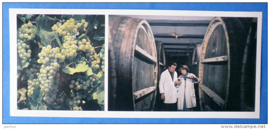 grape - winemakers - wine - 1984 - Abkhazia - Georgia USSR - unused - JH Postcards